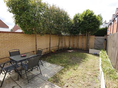 Picture 14